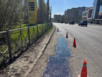 Фото пресс-службы администрации Архангельска.