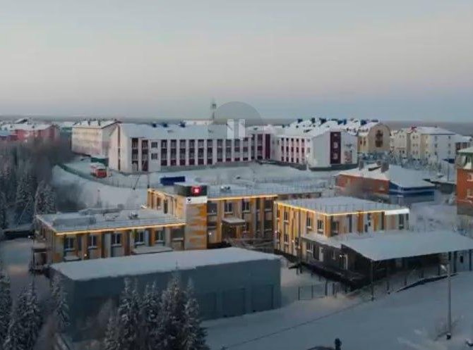 Фото «Ноу гроуп»