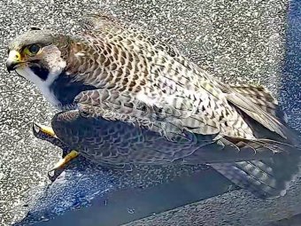 Фото: ПАО «Банк Уралсиб».