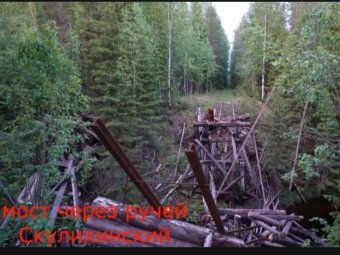 Фото: «Жесть Поморья».