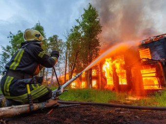 Фото: Илья Тильман. 