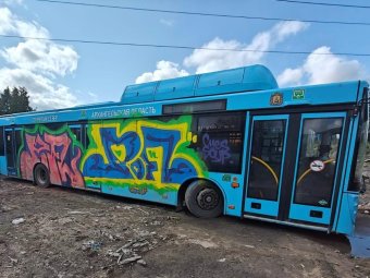 Фото: ТК «Рико».