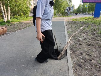 Проспект Ломоносова между Садовой и Гайдара. 