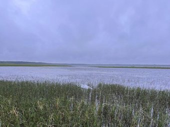 Фото СУ СК РФ по Архангельской области и НАО.