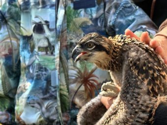 Фото пресс-службы губернатора и правительства