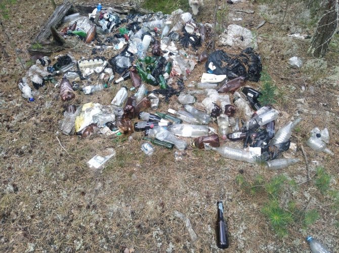 Паблик VK «Сплетник Коряжмы»