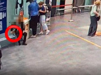 Стоп-кадр из видео УТ МВД РФ по СЗФО.