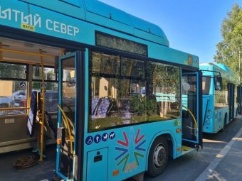 Фото: ТК «Рико».