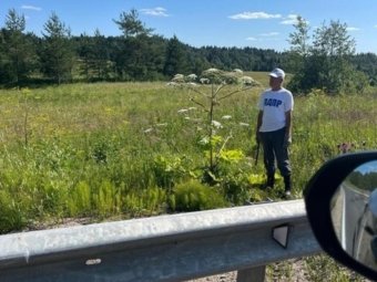 Фото: АРО ЛДПР. 