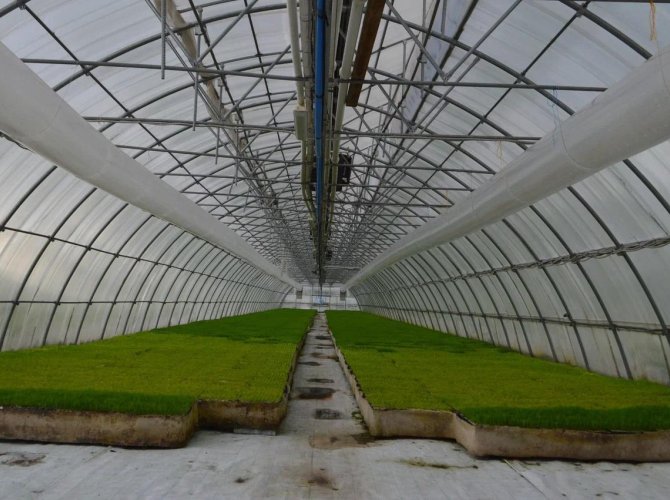 Фото Игоря Мураева