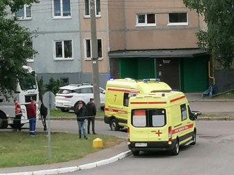 Фото: «Жесть Архангельск».