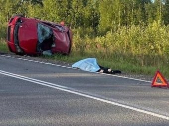 Все фото: Госавтоинспекция Архангельской области. 