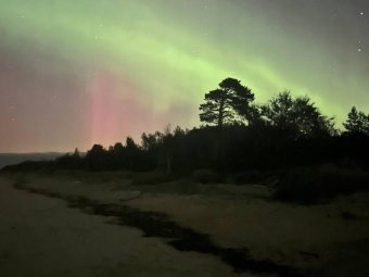 Фото: Дмитрий @Dekfor / Телеграм