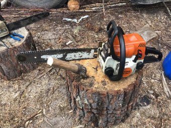 Все фото: пресс-служба прокуратуры Архангельской области и НАО. 