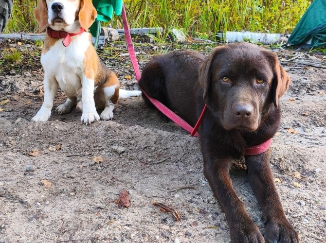 Фото: Служба спасения имени Поливного. 