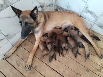 Все фото: УФСИН по Архангельской области. 