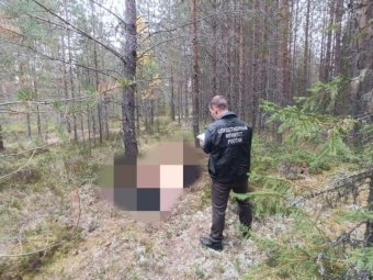 Фото следкома.