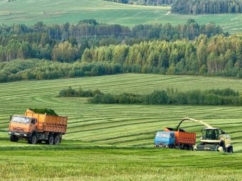 Фото пресс-службы губернатора. 