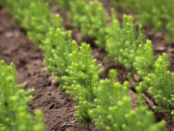 Фото: ГК УЛК. 