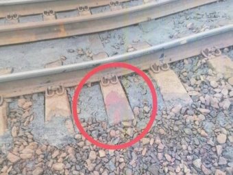 Фото пресс-службы областной прокуратуры