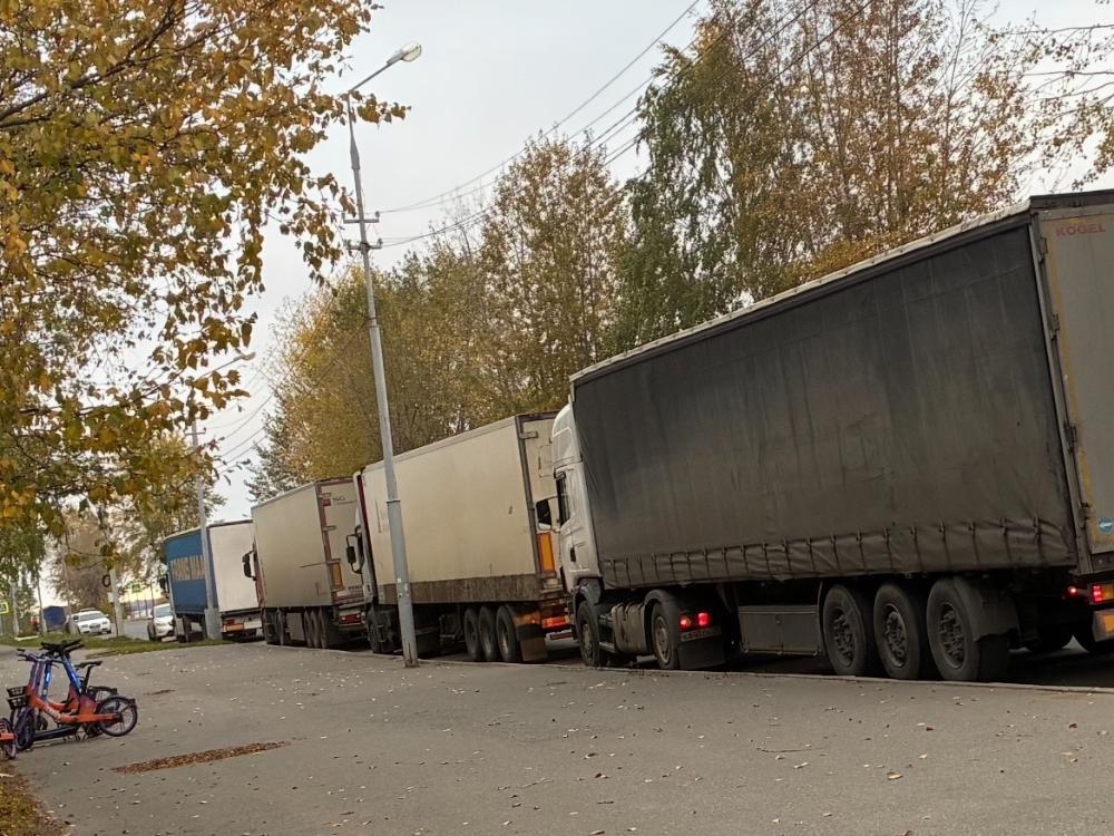 Архангельск облысының жезөкшелері