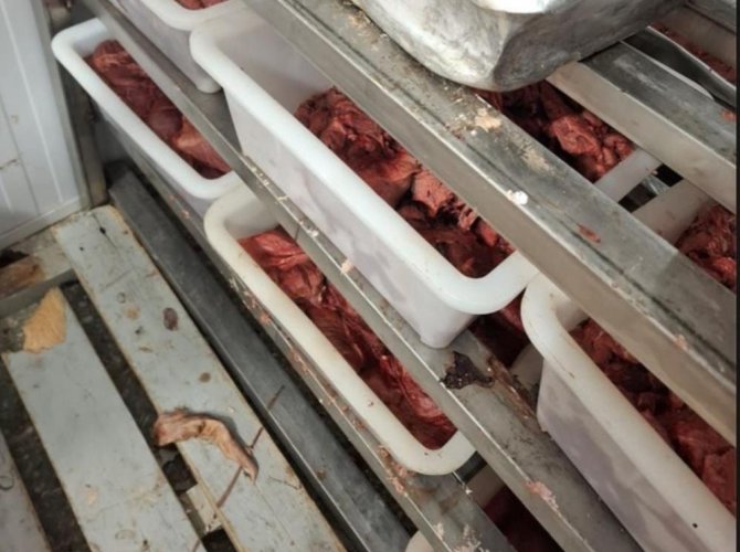 Фото Россельхознадзора