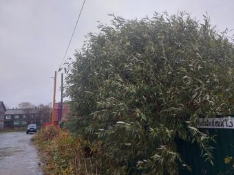 Фото архгорадмина