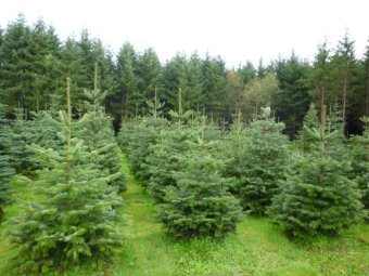 Фото Группы компаний УЛК.