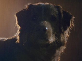 Стоп-кадр из фильма.