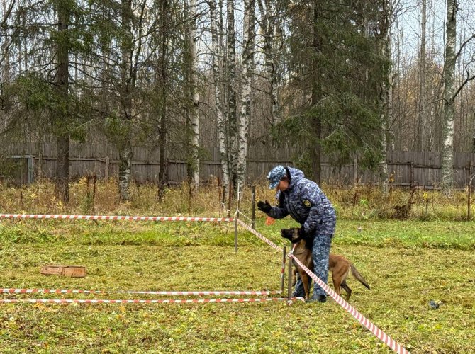 Фото: УФСИН России по Архангельской области.