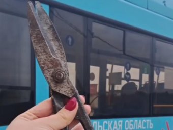 Фото: ТК «Рико».