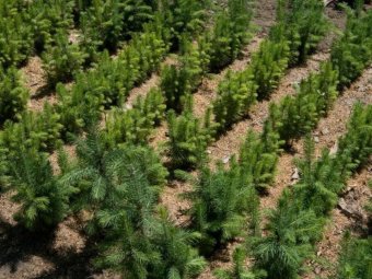 Фото: ГК УЛК.