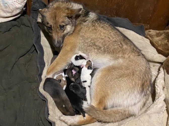 Фото: Александр Кононов / Северное УГМС.