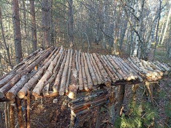 Фото: пресс-служба администрации Северодвинска. 