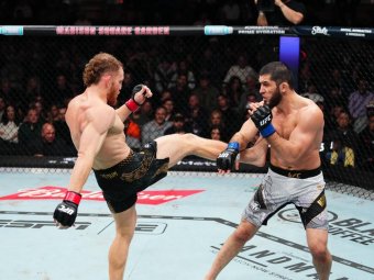 Фото и видео: UFC. 