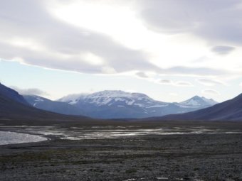 Фото с сайта АОСД.