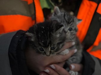 Фото: «РВК-Архангельск».