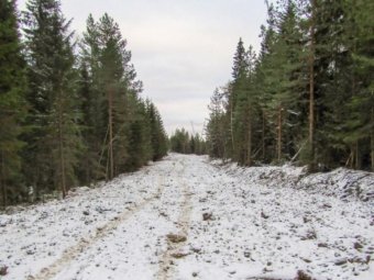 Фото: ГК УЛК.