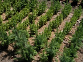 Фото Группы компаний УЛК.