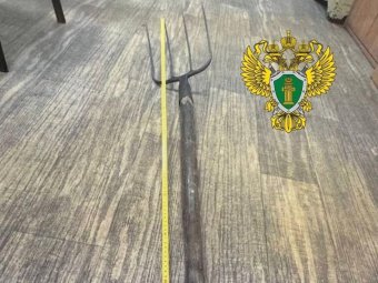 Фото пресс-службы областной прокуратуры.