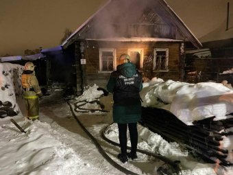 Фото: СУ СК по Архангельской области и НАО. 