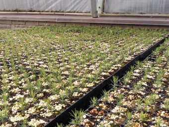 Фото Группы компаний УЛК.