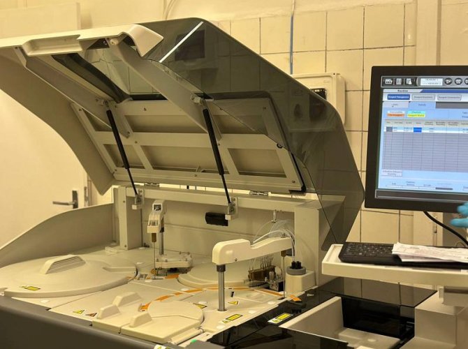 Фото пресс-службы губернатора и правительства