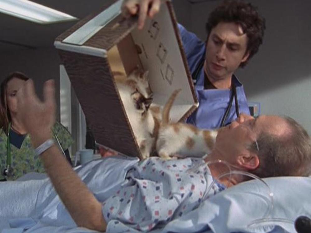 Фото: кадр из сериала «Клиника».