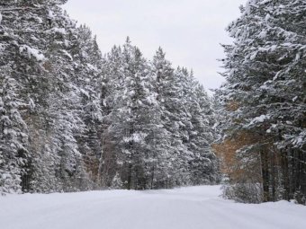Фото ГК УЛК.