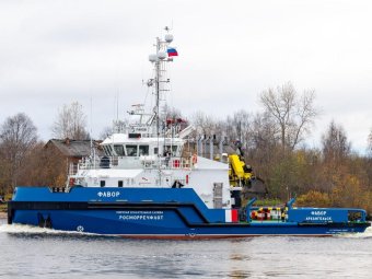 Фото: Виталий Вашуткин/ «Медиапалуба»