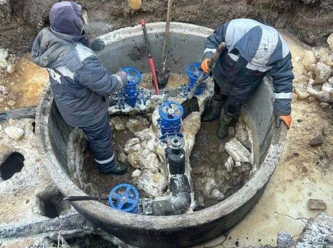 Фото Дмитрия Морева.