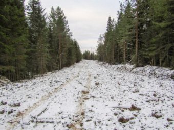 Фото Группы компаний УЛК.