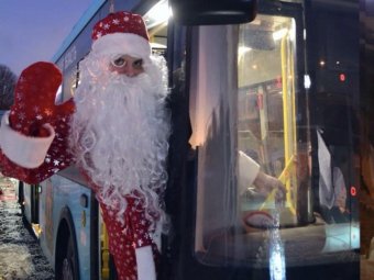 Фото: ТК «Рико».