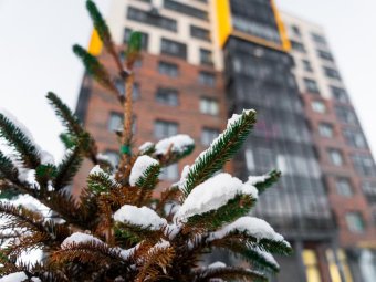 Фото Группы «Аквилон».